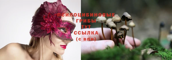 дурь Алексин