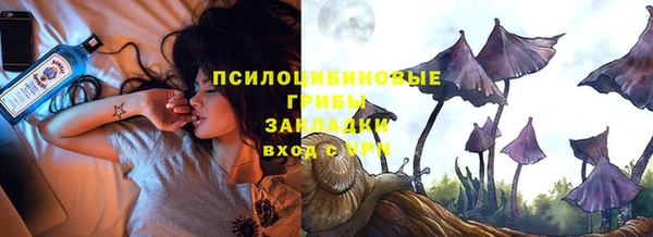 бошки Абаза