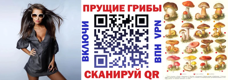 Галлюциногенные грибы MAGIC MUSHROOMS  MEGA ONION  Петров Вал  купить закладку 